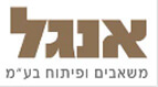 'נריישן